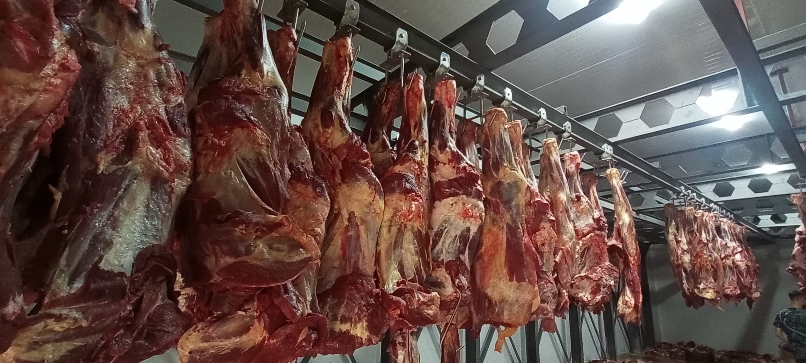 Kurban Kesim Hizmeti